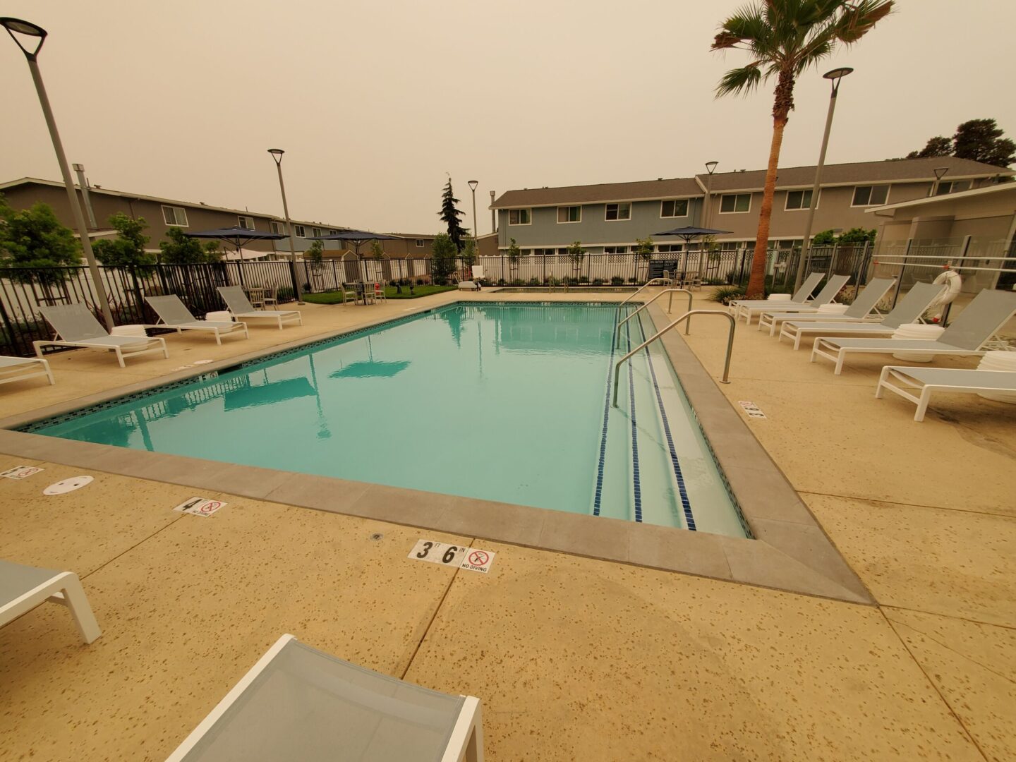 A pool with chairs and palm trees in the background.